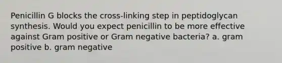 Penicillin G blocks the cross-linking step in peptidoglycan synthesis. Would you expect penicillin to be more effective against Gram positive or Gram negative bacteria? a. gram positive b. gram negative