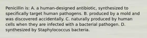 Penicillin is: A. a human-designed antibiotic, synthesized to specifically target human pathogens. B. produced by a mold and was discovered accidentally. C. naturally produced by human cells when they are infected with a bacterial pathogen. D. synthesized by Staphylococcus bacteria.