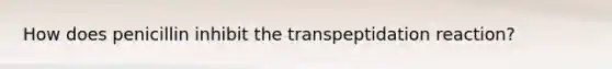 How does penicillin inhibit the transpeptidation reaction?