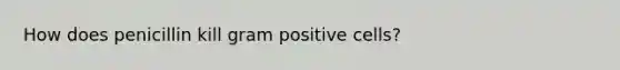 How does penicillin kill gram positive cells?