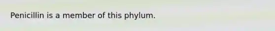 Penicillin is a member of this phylum.