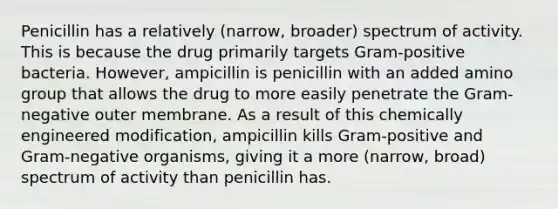 Penicillin has a relatively (narrow, broader) spectrum of activity. This is because the drug primarily targets Gram-positive bacteria. However, ampicillin is penicillin with an added amino group that allows the drug to more easily penetrate the Gram-negative outer membrane. As a result of this chemically engineered modification, ampicillin kills Gram-positive and Gram-negative organisms, giving it a more (narrow, broad) spectrum of activity than penicillin has.