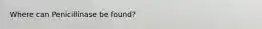 Where can Penicillinase be found?