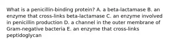 What is a penicillin-binding protein? A. a beta-lactamase B. an enzyme that cross-links beta-lactamase C. an enzyme involved in penicillin production D. a channel in the outer membrane of Gram-negative bacteria E. an enzyme that cross-links peptidoglycan