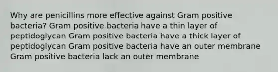 Why are penicillins more effective against Gram positive bacteria? Gram positive bacteria have a thin layer of peptidoglycan Gram positive bacteria have a thick layer of peptidoglycan Gram positive bacteria have an outer membrane Gram positive bacteria lack an outer membrane