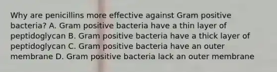 Why are penicillins more effective against Gram positive bacteria? A. Gram positive bacteria have a thin layer of peptidoglycan B. Gram positive bacteria have a thick layer of peptidoglycan C. Gram positive bacteria have an outer membrane D. Gram positive bacteria lack an outer membrane