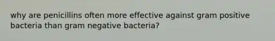 why are penicillins often more effective against gram positive bacteria than gram negative bacteria?