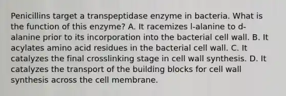 Penicillins target a transpeptidase enzyme in bacteria. What is the function of this enzyme? A. It racemizes l-alanine to d-alanine prior to its incorporation into the bacterial cell wall. B. It acylates amino acid residues in the bacterial cell wall. C. It catalyzes the final crosslinking stage in cell wall synthesis. D. It catalyzes the transport of the building blocks for cell wall synthesis across the cell membrane.