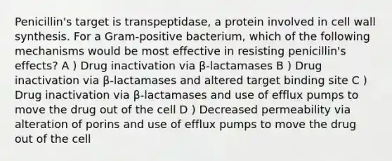 Penicillin's target is transpeptidase, a protein involved in cell wall synthesis. For a Gram-positive bacterium, which of the following mechanisms would be most effective in resisting penicillin's effects? A ) Drug inactivation via β-lactamases B ) Drug inactivation via β-lactamases and altered target binding site C ) Drug inactivation via β-lactamases and use of efflux pumps to move the drug out of the cell D ) Decreased permeability via alteration of porins and use of efflux pumps to move the drug out of the cell