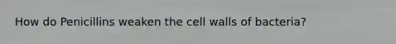 How do Penicillins weaken the cell walls of bacteria?