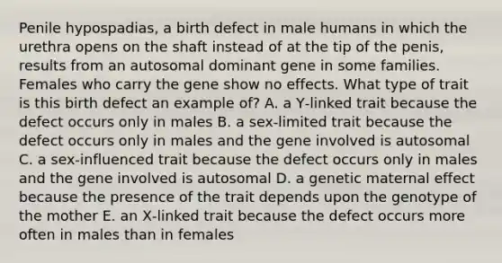 Penile hypospadias, a birth defect in male humans in which the urethra opens on the shaft instead of at the tip of the penis, results from an autosomal dominant gene in some families. Females who carry the gene show no effects. What type of trait is this birth defect an example of? A. a Y‑linked trait because the defect occurs only in males B. a sex‑limited trait because the defect occurs only in males and the gene involved is autosomal C. a sex‑influenced trait because the defect occurs only in males and the gene involved is autosomal D. a genetic maternal effect because the presence of the trait depends upon the genotype of the mother E. an X‑linked trait because the defect occurs more often in males than in females