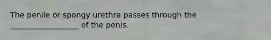 The penile or spongy urethra passes through the __________________ of the penis.