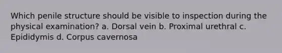 Which penile structure should be visible to inspection during the physical examination? a. Dorsal vein b. Proximal urethral c. Epididymis d. Corpus cavernosa