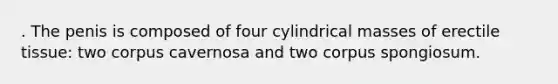 . The penis is composed of four cylindrical masses of erectile tissue: two corpus cavernosa and two corpus spongiosum.