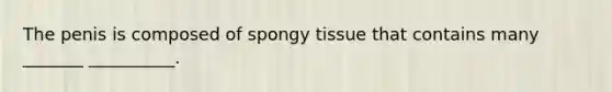 The penis is composed of spongy tissue that contains many _______ __________.