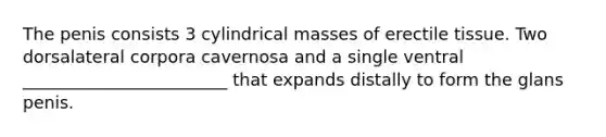 The penis consists 3 cylindrical masses of erectile tissue. Two dorsalateral corpora cavernosa and a single ventral ________________________ that expands distally to form the glans penis.