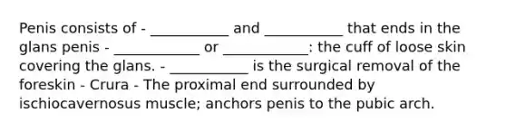 Penis consists of - ___________ and ___________ that ends in the glans penis - ____________ or ____________: the cuff of loose skin covering the glans. - ___________ is the surgical removal of the foreskin - Crura - The proximal end surrounded by ischiocavernosus muscle; anchors penis to the pubic arch.