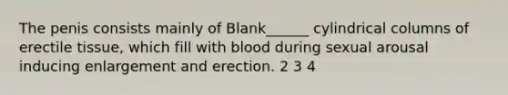 The penis consists mainly of Blank______ cylindrical columns of erectile tissue, which fill with blood during sexual arousal inducing enlargement and erection. 2 3 4