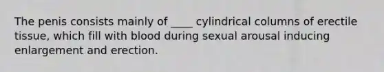 The penis consists mainly of ____ cylindrical columns of erectile tissue, which fill with blood during sexual arousal inducing enlargement and erection.