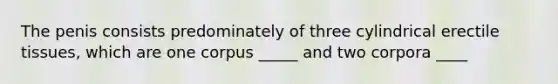 The penis consists predominately of three cylindrical erectile tissues, which are one corpus _____ and two corpora ____