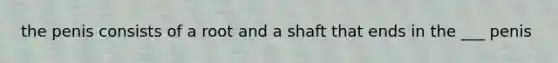 the penis consists of a root and a shaft that ends in the ___ penis