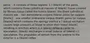 penis: - it consists of three regions: 1.) (blank) of the penis, which contains three cylindrical masses of (blank) tissue covered by fibrous tissue called the tunica (blank); the three cylindrical masses are: - two dorsolateral corpora (blank) penis (or corpora [blank]) - one smaller midventral corpus (blank) penis (or corpus [blank]) which contains the spongy urethra a.) sexual excitation causes large amounts of blood to enter their blood (blank), resulting in erection which is a (blank) reflex b.) prior to ejaculation, (blank) discharges a small volume of (blank) c.) ejaculation, the propulsion of semen from the urethra to the exterior is a (blank) reflex