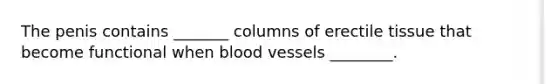 The penis contains _______ columns of erectile tissue that become functional when blood vessels ________.