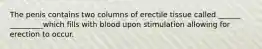 The penis contains two columns of erectile tissue called ______ _________which fills with blood upon stimulation allowing for erection to occur.