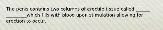 The penis contains two columns of erectile tissue called ______ _________which fills with blood upon stimulation allowing for erection to occur.