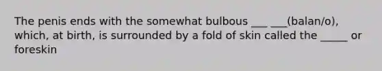 The penis ends with the somewhat bulbous ___ ___(balan/o), which, at birth, is surrounded by a fold of skin called the _____ or foreskin