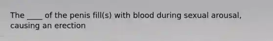 The ____ of the penis fill(s) with blood during sexual arousal, causing an erection