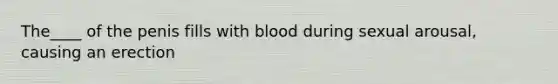 The____ of the penis fills with blood during sexual arousal, causing an erection