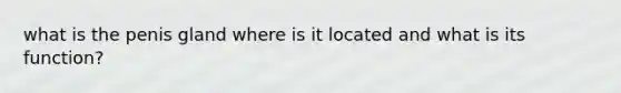 what is the penis gland where is it located and what is its function?