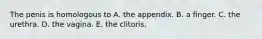 The penis is homologous to A. the appendix. B. a finger. C. the urethra. D. the vagina. E. the clitoris.