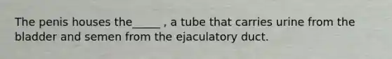 The penis houses the_____ , a tube that carries urine from the bladder and semen from the ejaculatory duct.