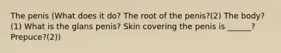 The penis (What does it do? The root of the penis?(2) The body?(1) What is the glans penis? Skin covering the penis is ______? Prepuce?(2))