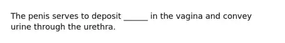 The penis serves to deposit ______ in the vagina and convey urine through the urethra.
