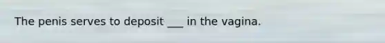 The penis serves to deposit ___ in the vagina.