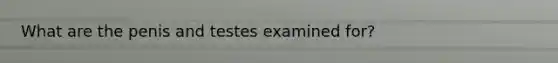 What are the penis and testes examined for?