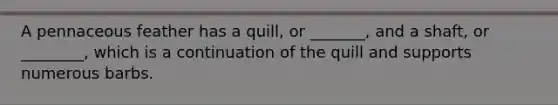 A pennaceous feather has a quill, or _______, and a shaft, or ________, which is a continuation of the quill and supports numerous barbs.