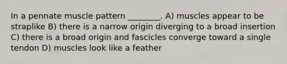 In a pennate muscle pattern ________. A) muscles appear to be straplike B) there is a narrow origin diverging to a broad insertion C) there is a broad origin and fascicles converge toward a single tendon D) muscles look like a feather