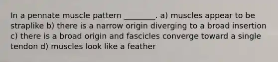 In a pennate muscle pattern ________. a) muscles appear to be straplike b) there is a narrow origin diverging to a broad insertion c) there is a broad origin and fascicles converge toward a single tendon d) muscles look like a feather