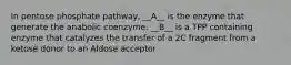 In pentose phosphate pathway, __A__ is the enzyme that generate the anabolic coenzyme. __B__ is a TPP containing enzyme that catalyzes the transfer of a 2C fragment from a ketose donor to an Aldose acceptor