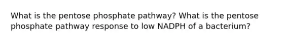 What is the pentose phosphate pathway? What is the pentose phosphate pathway response to low NADPH of a bacterium?