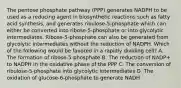 The pentose phosphate pathway (PPP) generates NADPH to be used as a reducing agent in biosynthetic reactions such as fatty acid synthesis, and generates ribulose-5-phosphate which can either be converted into ribose-5-phosphate or into glycolytic intermediates. Ribose-5-phosphate can also be generated from glycolytic intermediates without the reduction of NADPH. Which of the following would be favored in a rapidly dividing cell? A. The formation of ribose-5-phosphate B. The reduction of NADP+ to NADPH in the oxidative phase of the PPP C. The conversion of ribulose-5-phosphate into glycolytic intermediates D. The oxidation of glucose-6-phosphate to generate NADH