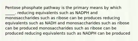 Pentose phosphate pathway is the primary means by which _____. reducing equivalents such as NADPH and monosaccharides such as ribose can be produces reducing equivalents such as NADH and monosaccharides such as ribose can be produced monosaccharides such as ribose can be produced reducing equivalents such as NADPH can be produced