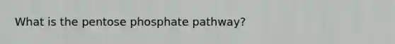 What is the pentose phosphate pathway?