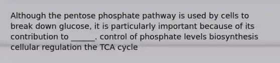 Although the pentose phosphate pathway is used by cells to break down glucose, it is particularly important because of its contribution to ______. control of phosphate levels biosynthesis cellular regulation the TCA cycle