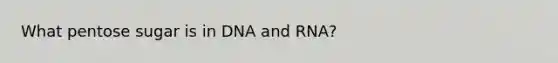 What pentose sugar is in DNA and RNA?