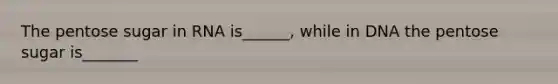 The pentose sugar in RNA is______, while in DNA the pentose sugar is_______